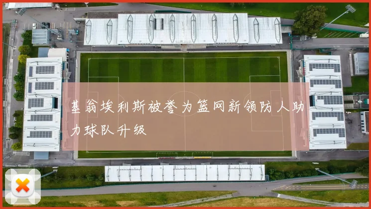 基翁埃利斯被誉为篮网新领防人助力球队升级